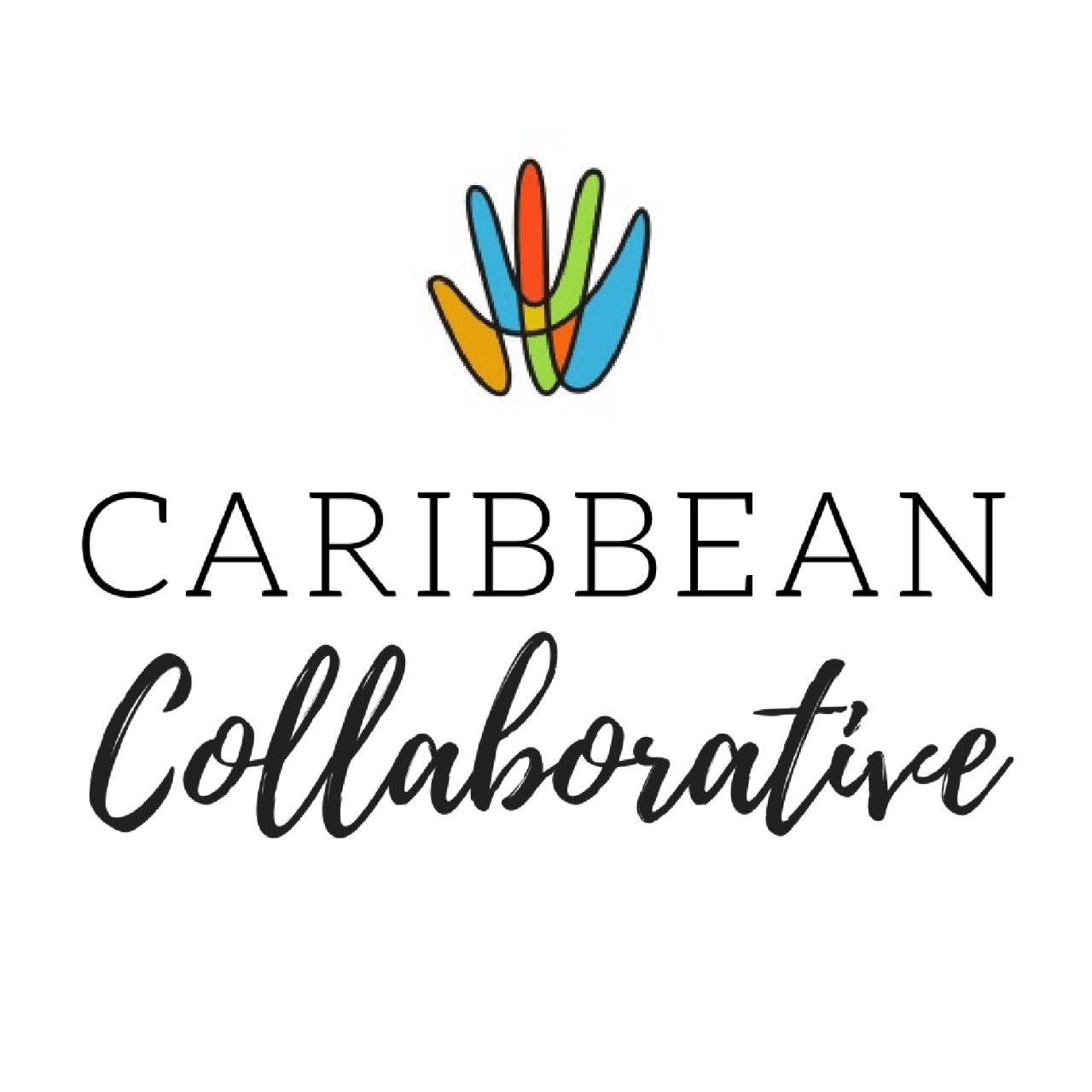 Caribbean groups collaborate on new logo branding campaign