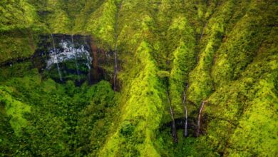 20 things you might not know about hawaii