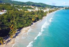 American to launch martinique service in spring