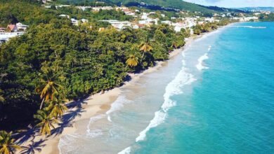 American to launch martinique service in spring