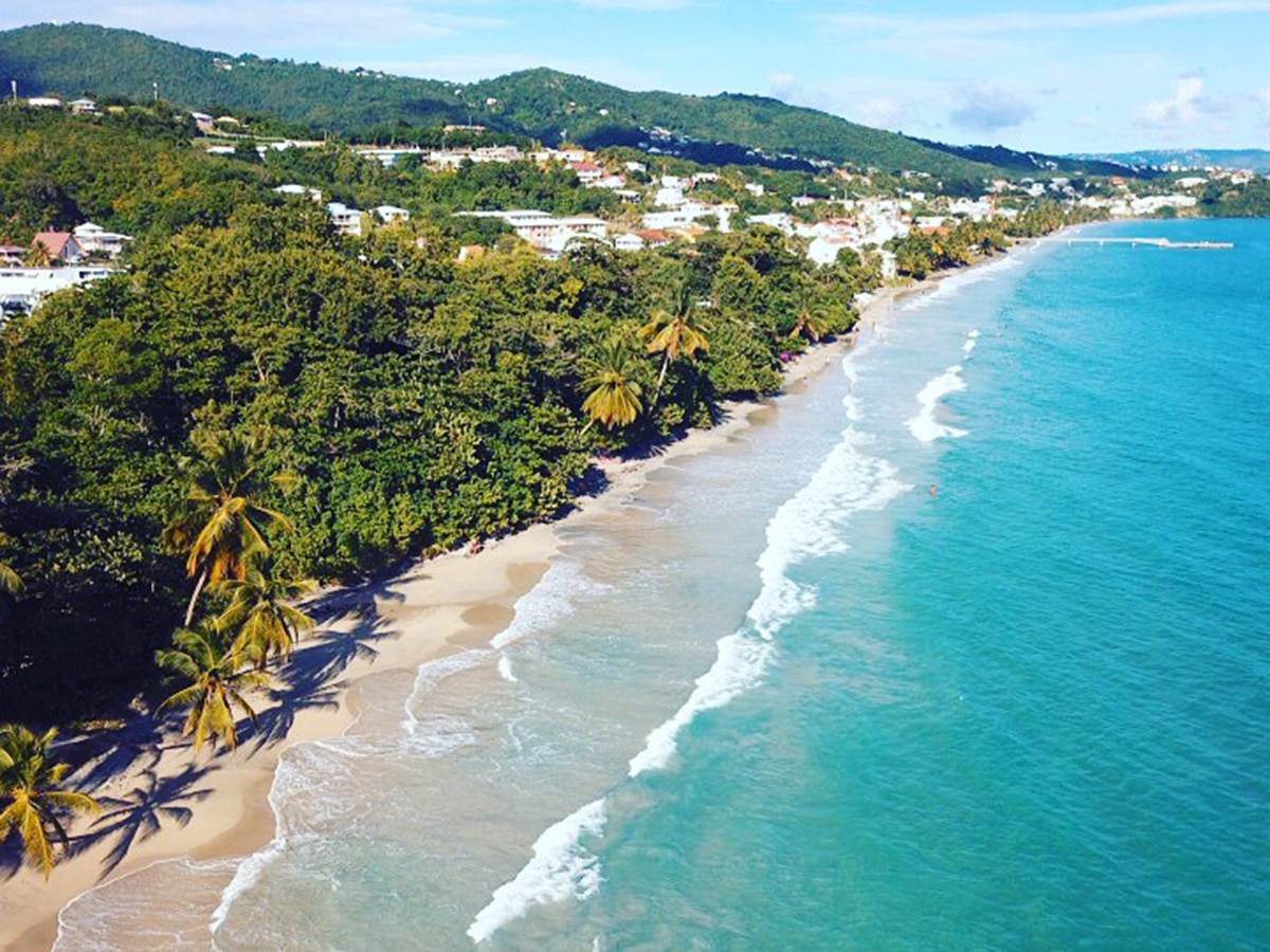 American to launch martinique service in spring