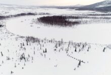 Along the iditarod trail