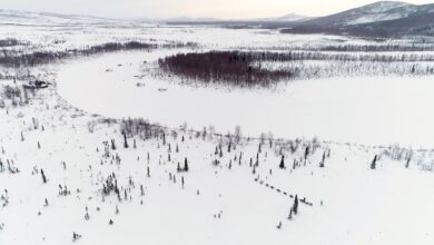 Along the iditarod trail