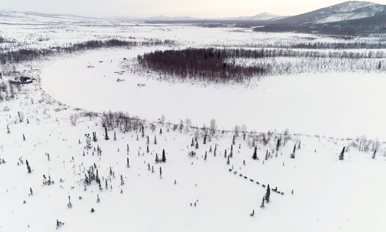 Along the iditarod trail