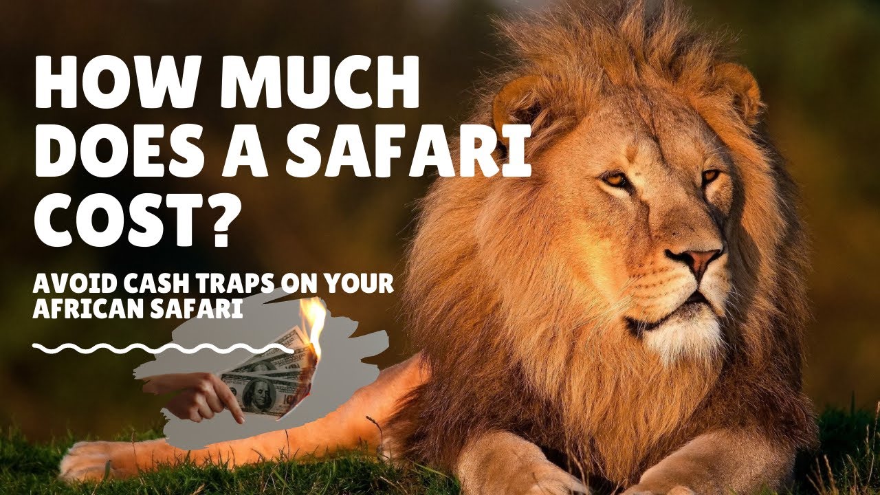 American safari sets discounts on charter itineraries