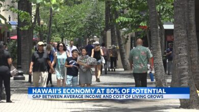 Bank of hawaii economist lowers forecast for visitor arrivals