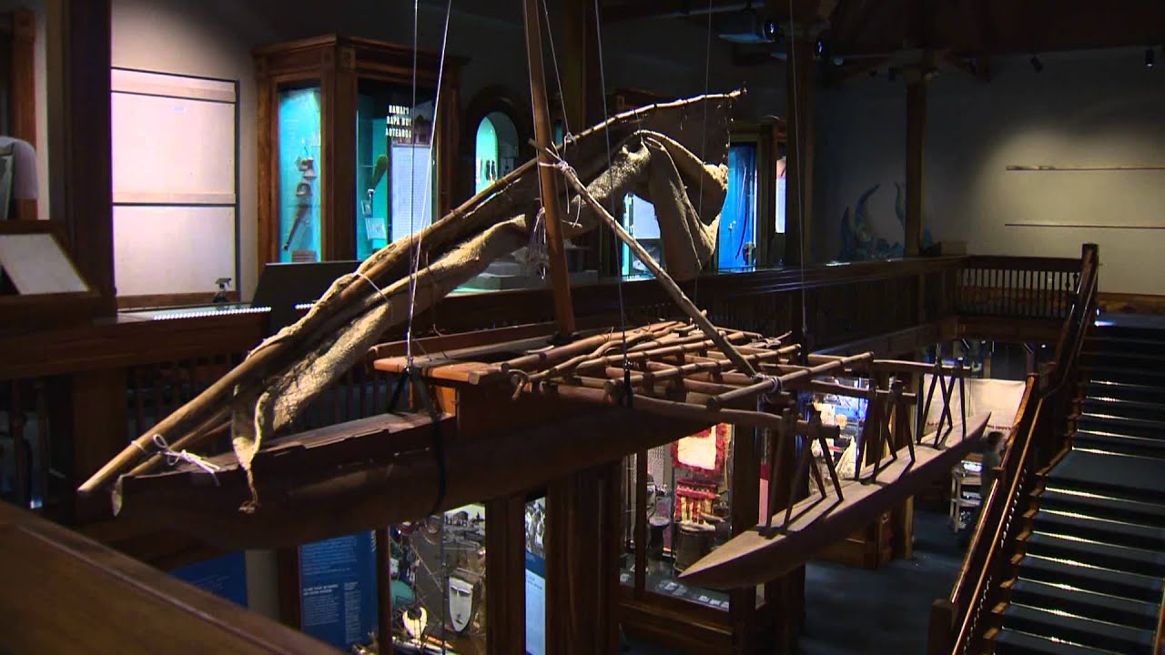 Bishop museum exhibit on marine invertebrates opens