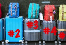 Brothel to reimburse airline baggage fee