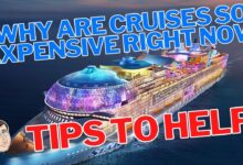 Caribbean cruise pricing strengthening