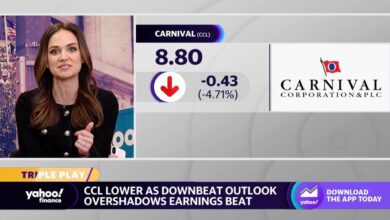 Carnival corp lowers earnings forecast