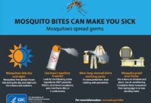 Caribbean takes steps to fight mosquito virus