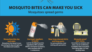 Caribbean takes steps to fight mosquito virus