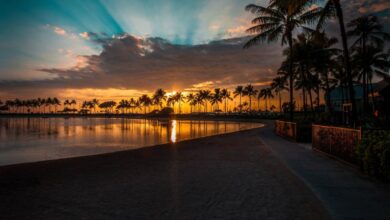 Blue sky tours summertime strategies for hawaii