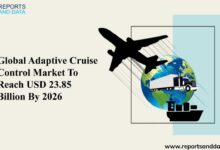 77 percent of agents report rise in cruise sales