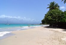 Beyond beaches guadeloupe total package