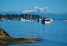 American cruise lines offers puget sound sailings