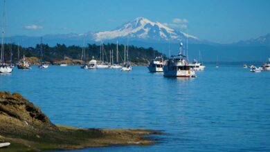 American cruise lines offers puget sound sailings