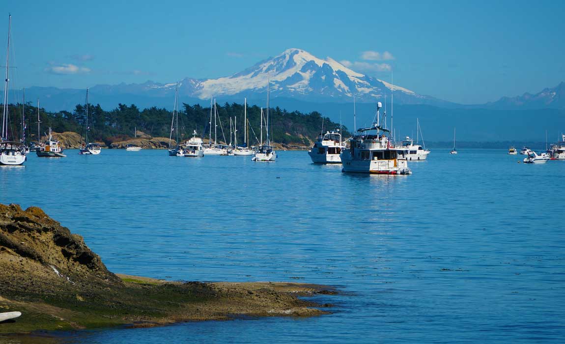 American cruise lines offers puget sound sailings