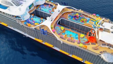 Analysts see confidence carnival royal caribbean ship orders