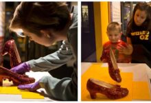 American cruise lines bring ruby slippers smithsonian