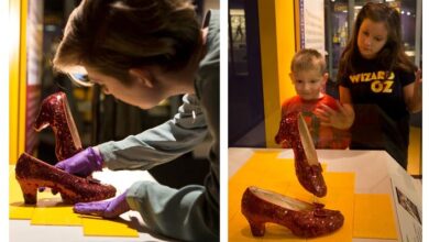 American cruise lines bring ruby slippers smithsonian