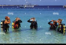 Bonaire to host group of wounded vets for scuba certification