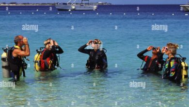 Bonaire to host group of wounded vets for scuba certification