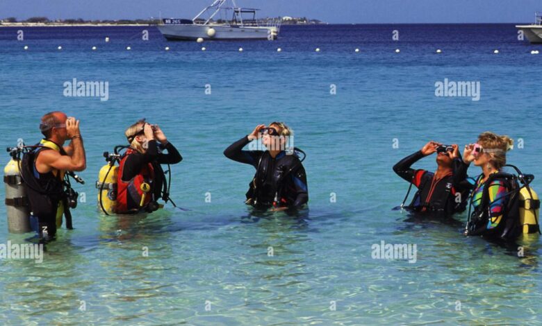 Bonaire to host group of wounded vets for scuba certification