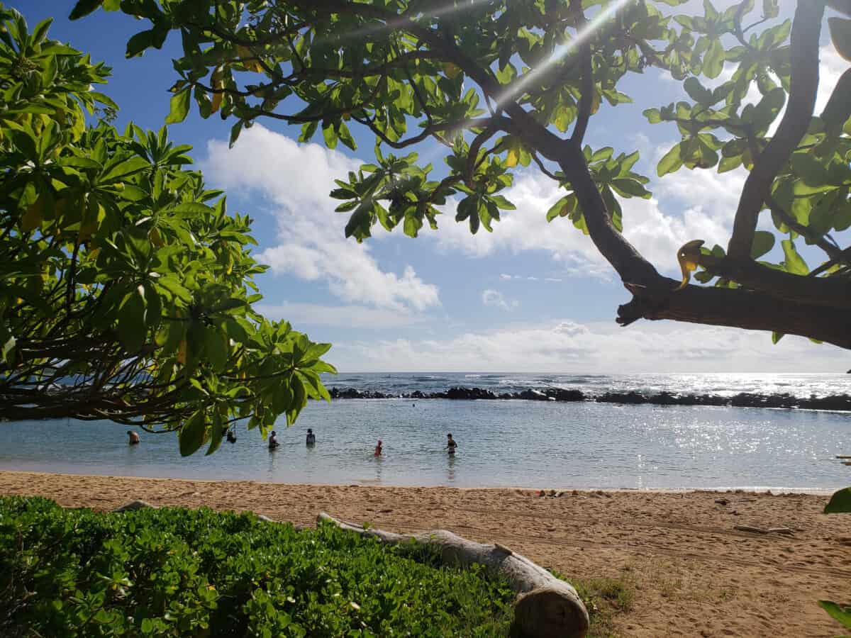 Advisor offers tips for a perfect five day vacation on kauai