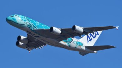 Ana announces hawaii route with new airbus