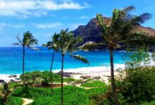 Airlift increase hotel packages are fueling hawaii s recovery