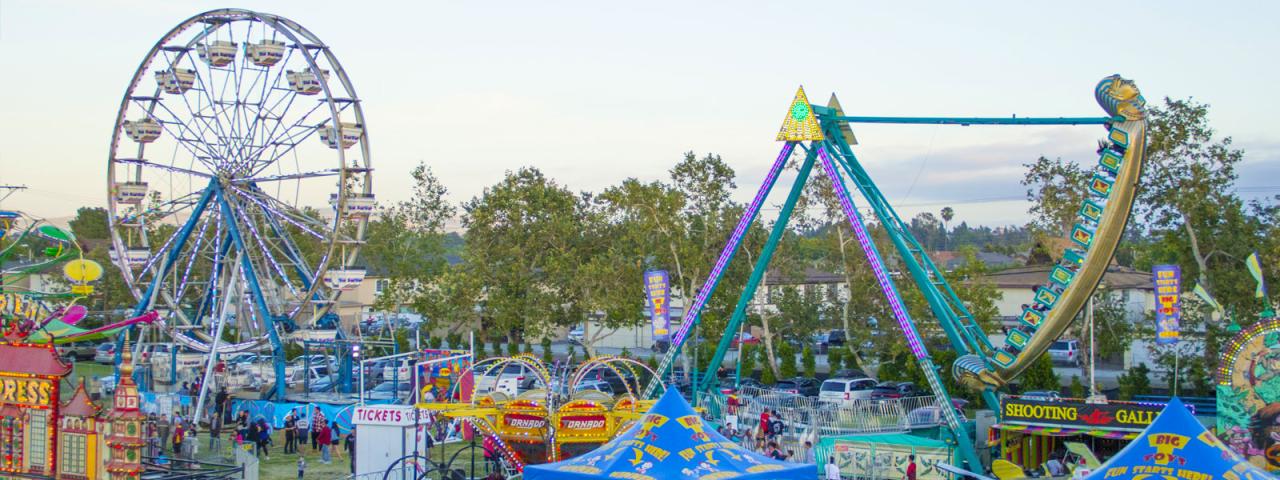 Carnival agentpalooza heads california