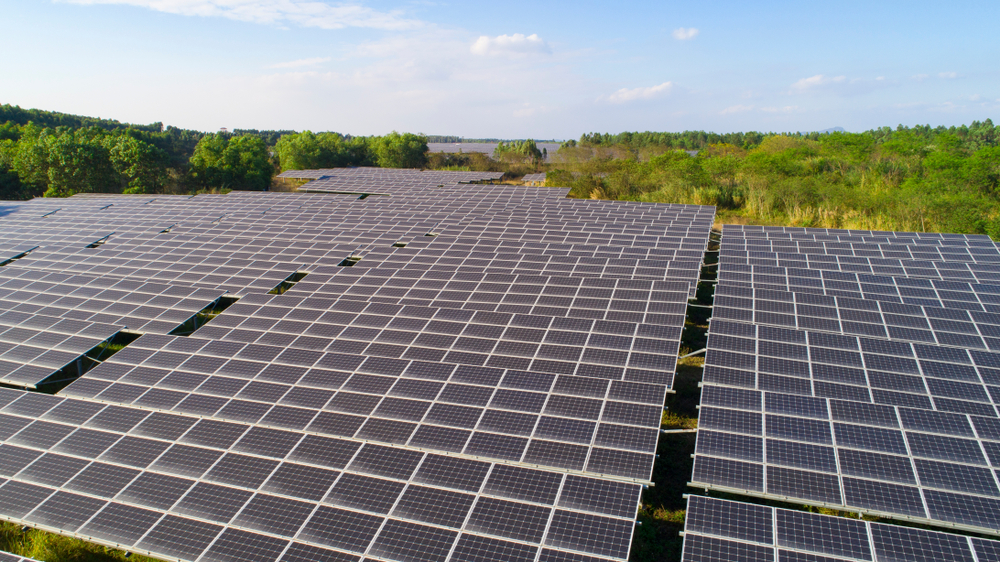 Amber cove solar park opens