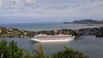 Lucia seas adventure st tourism passenger