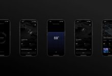 Carnival s first quarter net income down 25