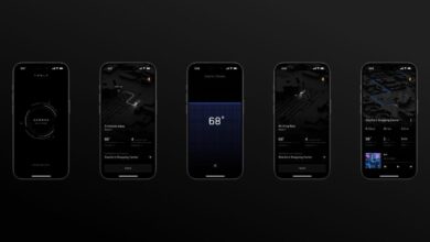 Carnival s first quarter net income down 25