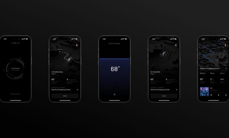 Carnival s first quarter net income down 25