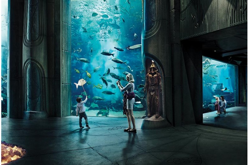 Atlantis aquarium receives aza accreditation