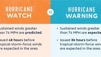 Carlson agents hurricanes are the biggest factor in travel planning