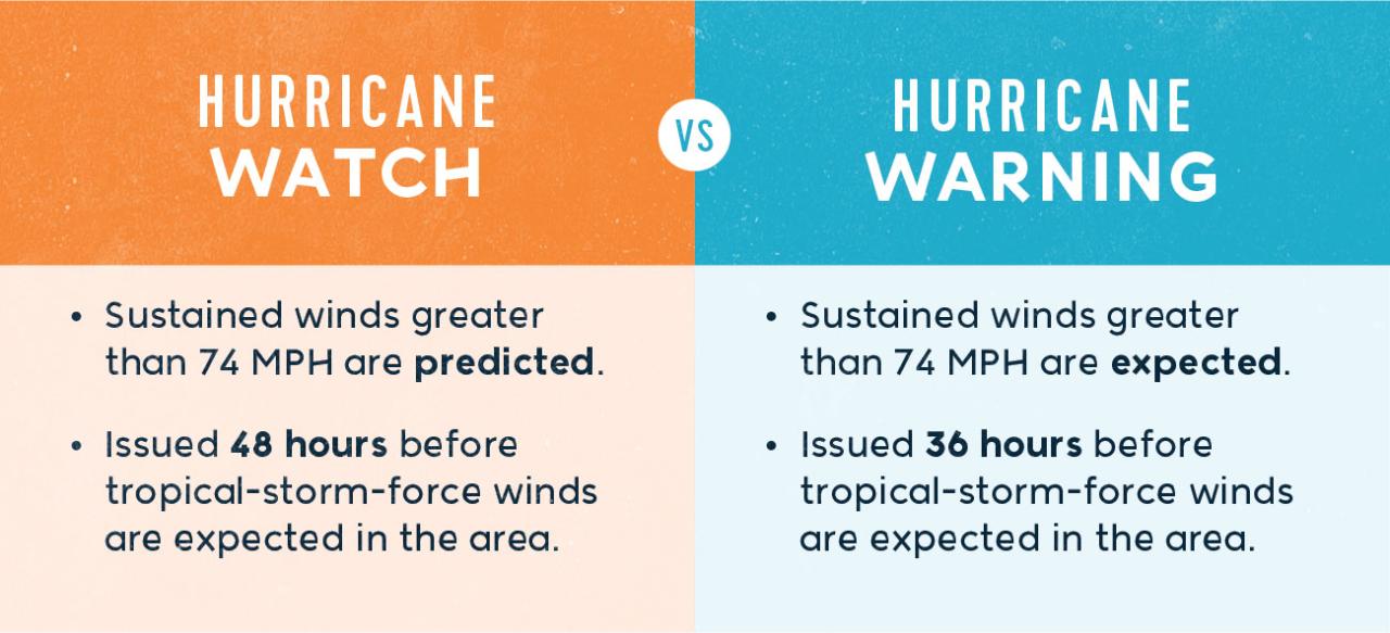 Carlson agents hurricanes are the biggest factor in travel planning