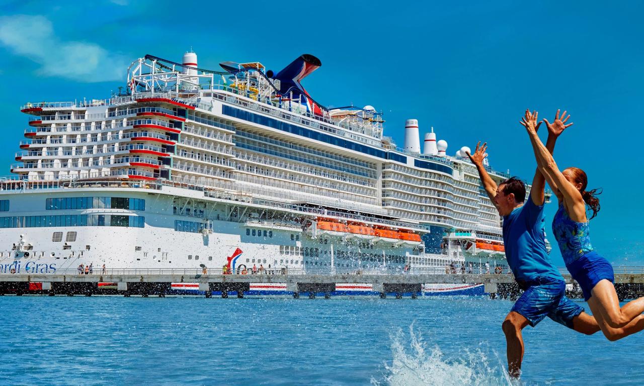 Carnival corp says cruise bookings have fallen in mid teens