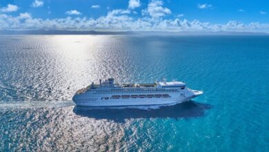 Carnival corp details plans for ship removal deferrment