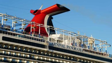 Carnival corp making most of operations pause