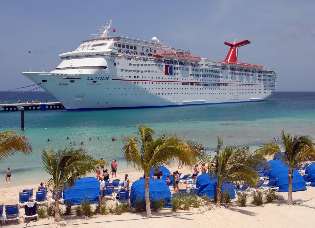 Carnival corp pledges 10 million for irma relief