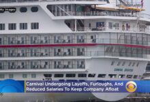 Carnival corp executives ashford and meadows departing