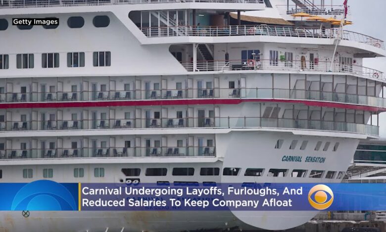 Carnival corp executives ashford and meadows departing