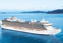 Carnival corp looks into ship order for princess