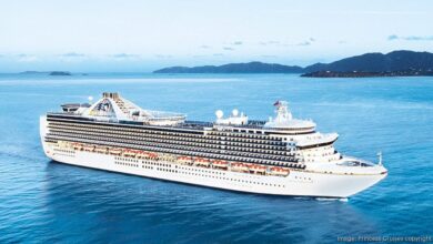 Carnival corp looks into ship order for princess