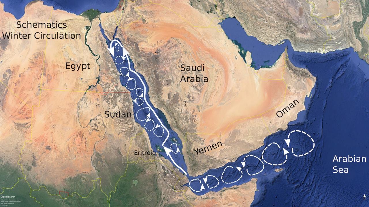 Carnival corp reroute 12 ships avoid red sea