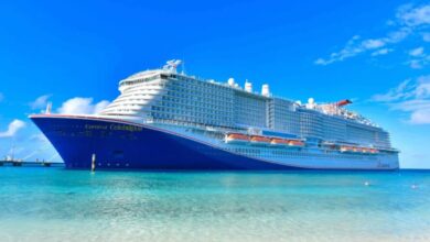 Carnival corp reorganizes brands under corporate structure